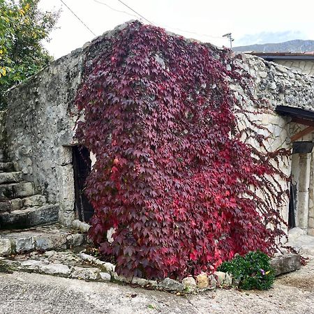 Villa Casa Mupi Sant'Eufemia a Maiella Exterior foto